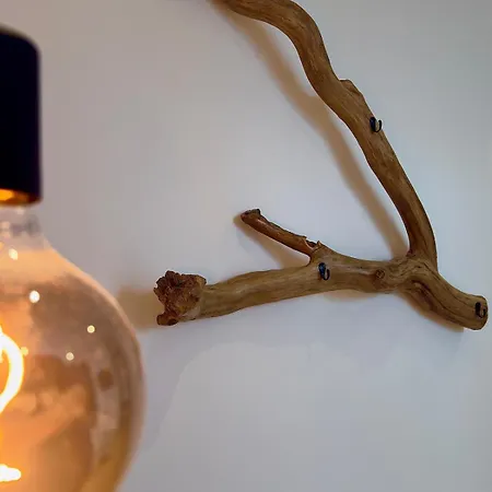 Maison De Style Industriel Σπίτι διακοπών Mazamet